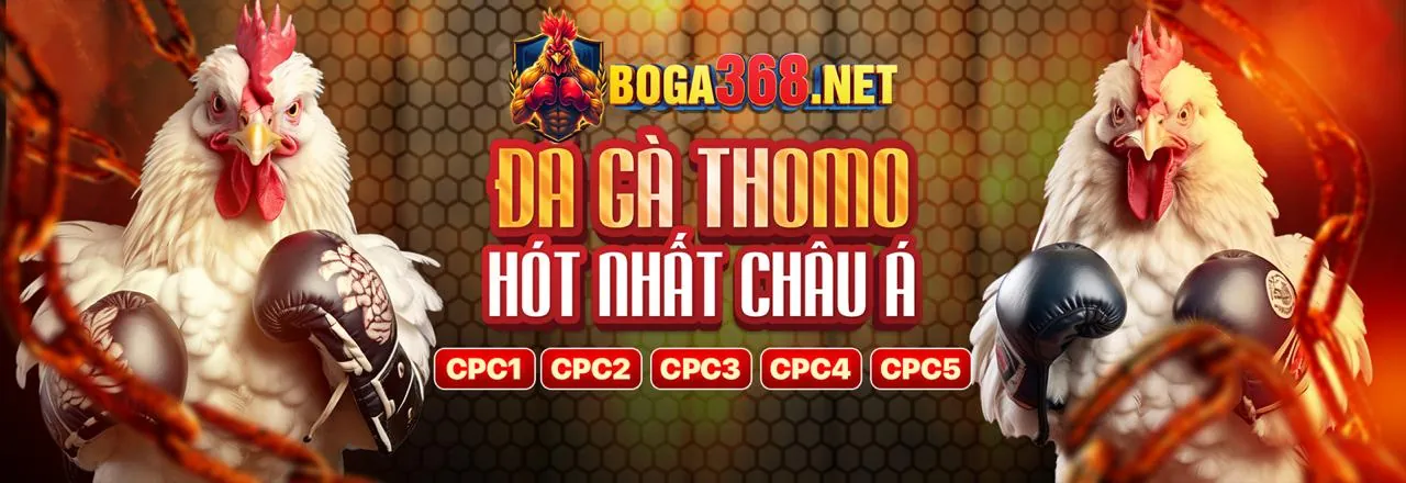 Hình ảnh hỗ trợ khách hàng chuyên nghiệp của 52Club